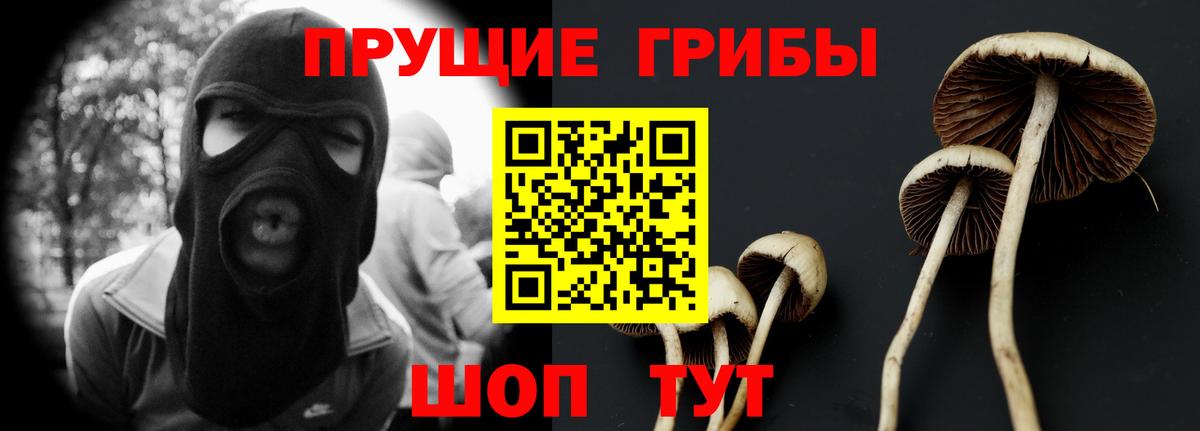 Новороссийск  Галлюциногенные грибы прущие грибы  Вход с VPN 