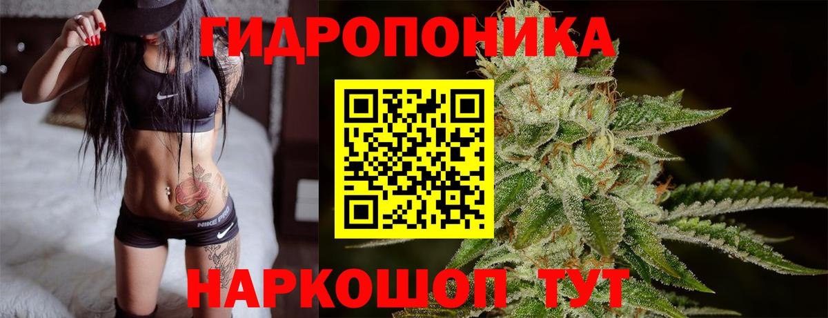 Новороссийск  Марихуана планчик  Вход с VPN  Марихуана ГИДРОПОН 